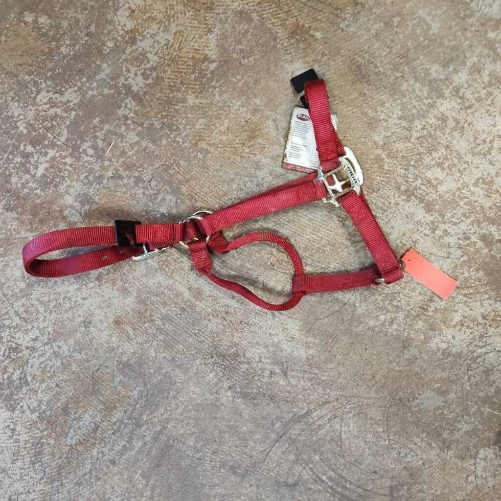Nylon halter