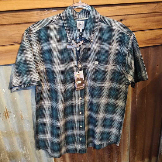 S/S button down check