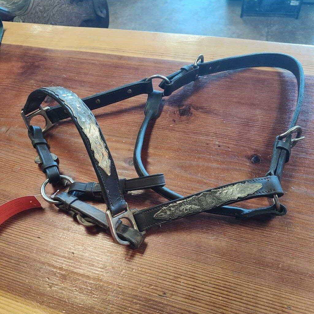 Starter show halter