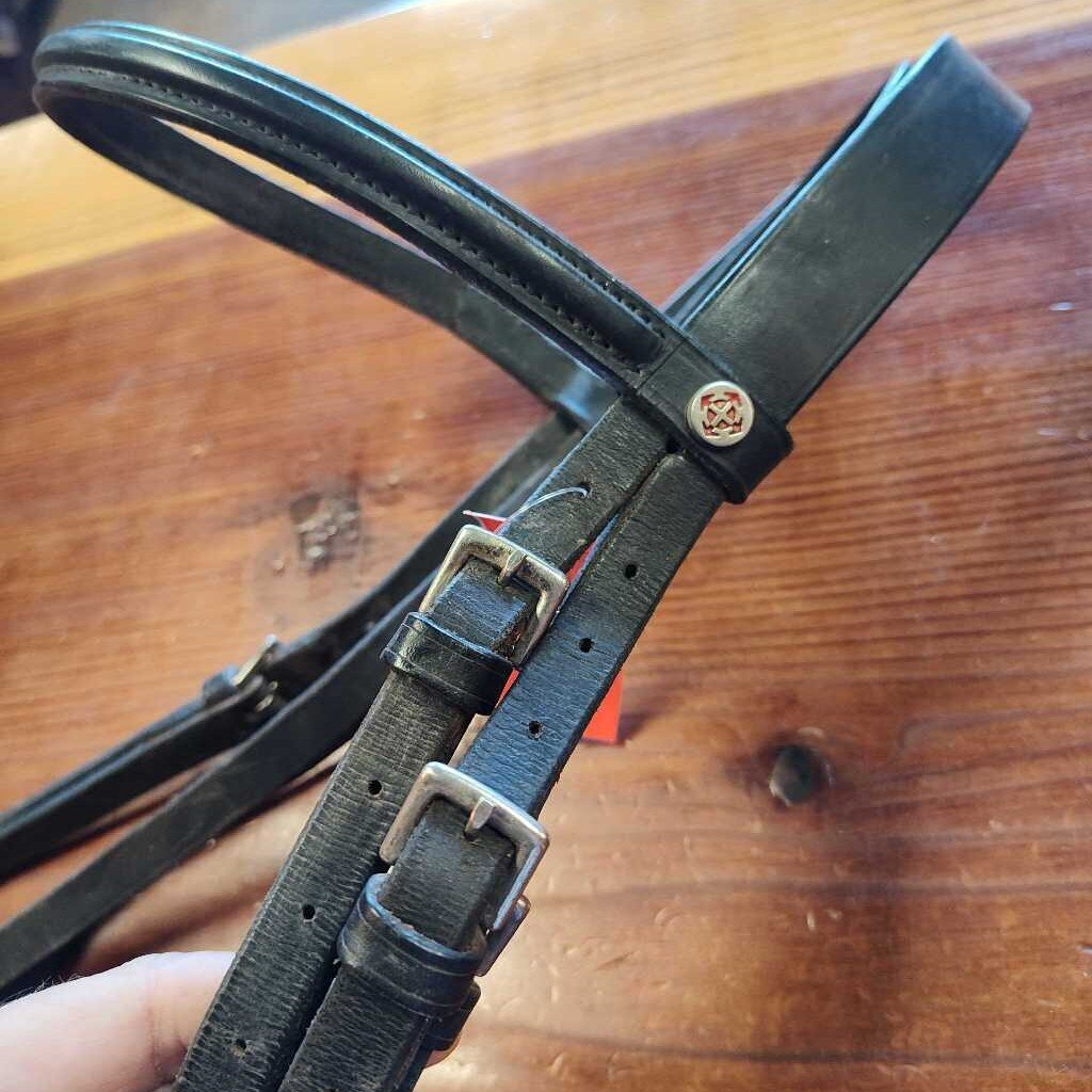 English Bridle- raised with flash