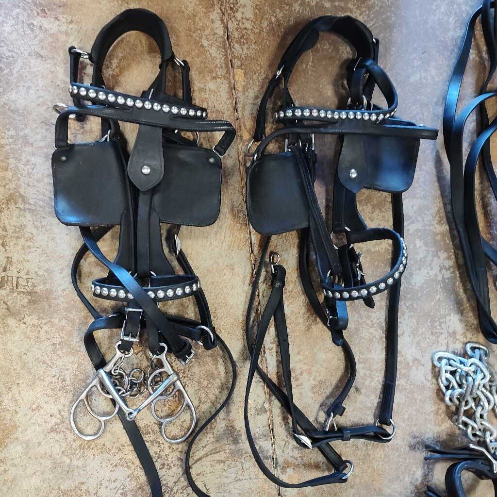 Team Draft harness set!