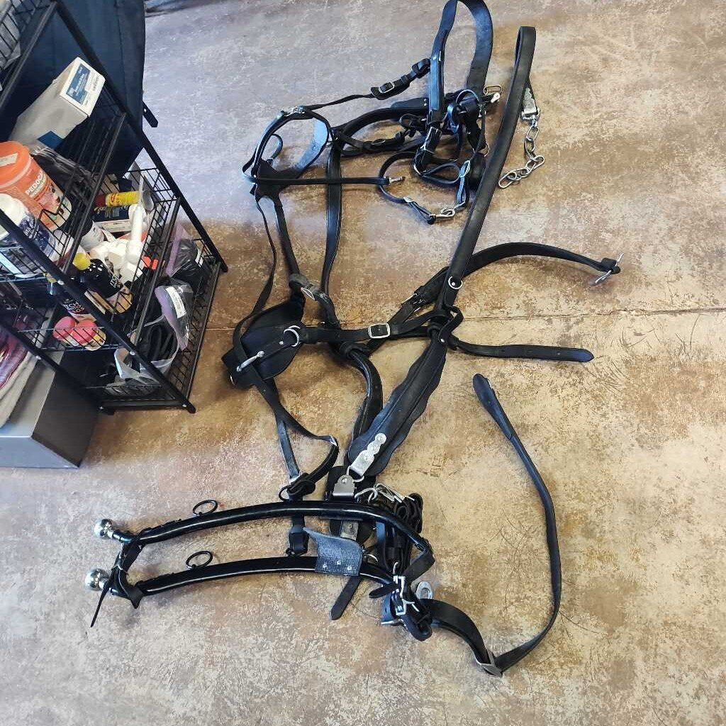 Team Draft harness set!