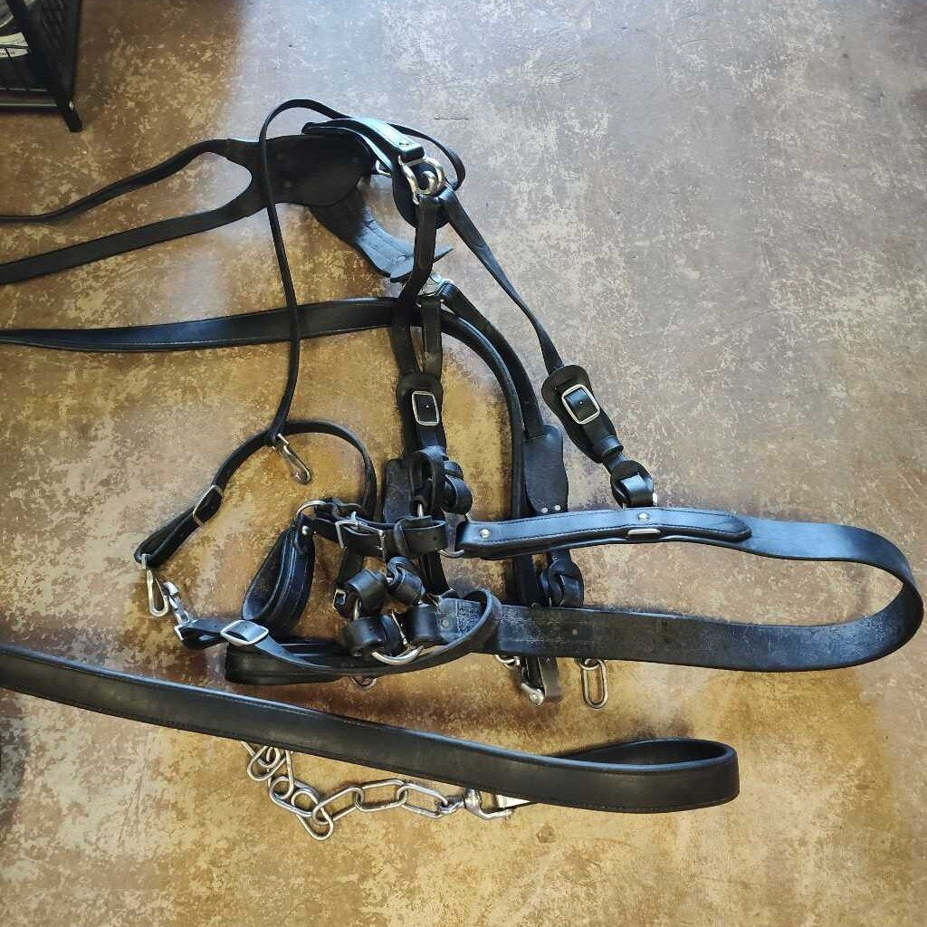 Team Draft harness set!