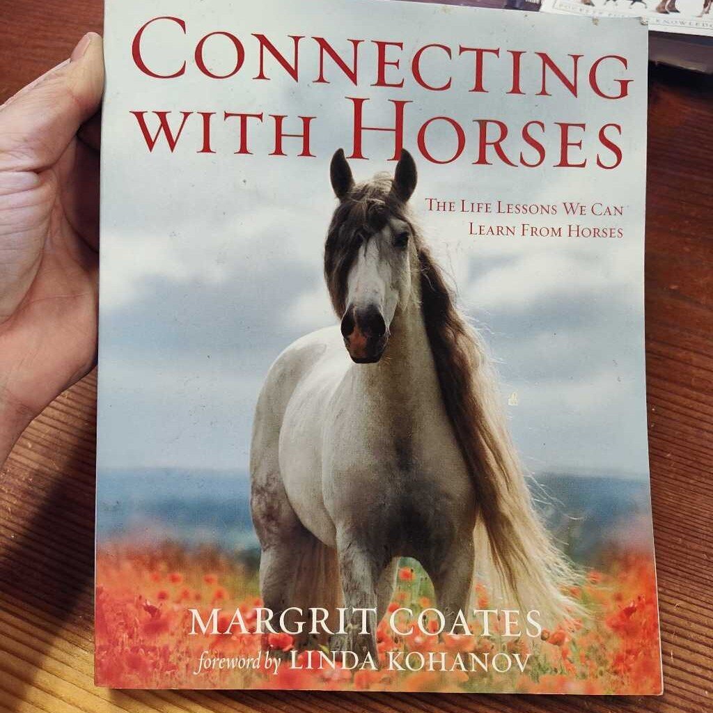 Connecting with horses