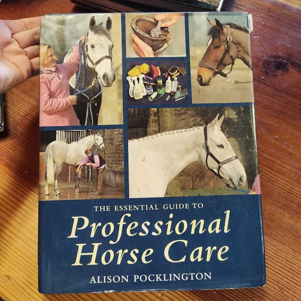 The Essential Guide to Professional horse care