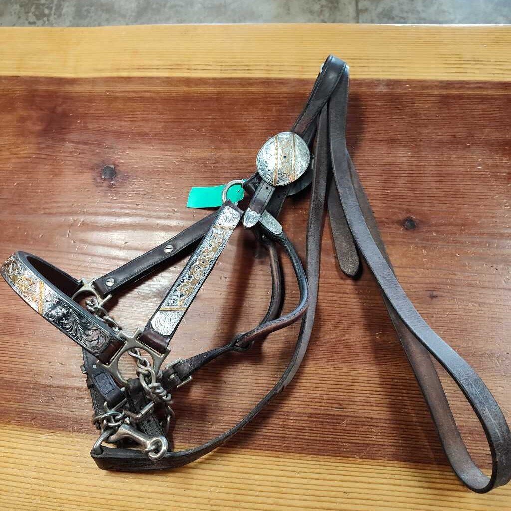 Beautiful Show halter