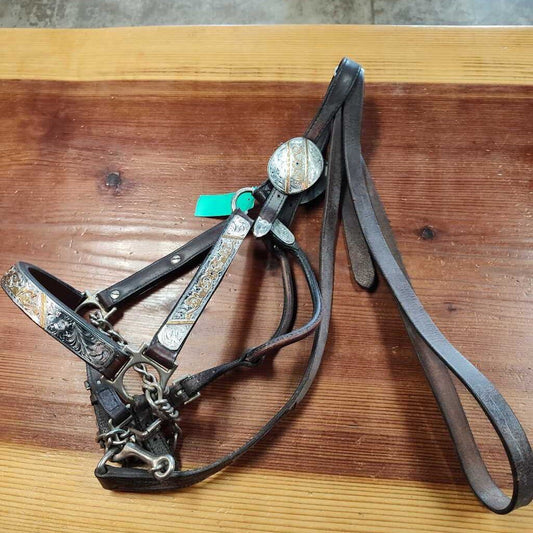 Beautiful Show halter