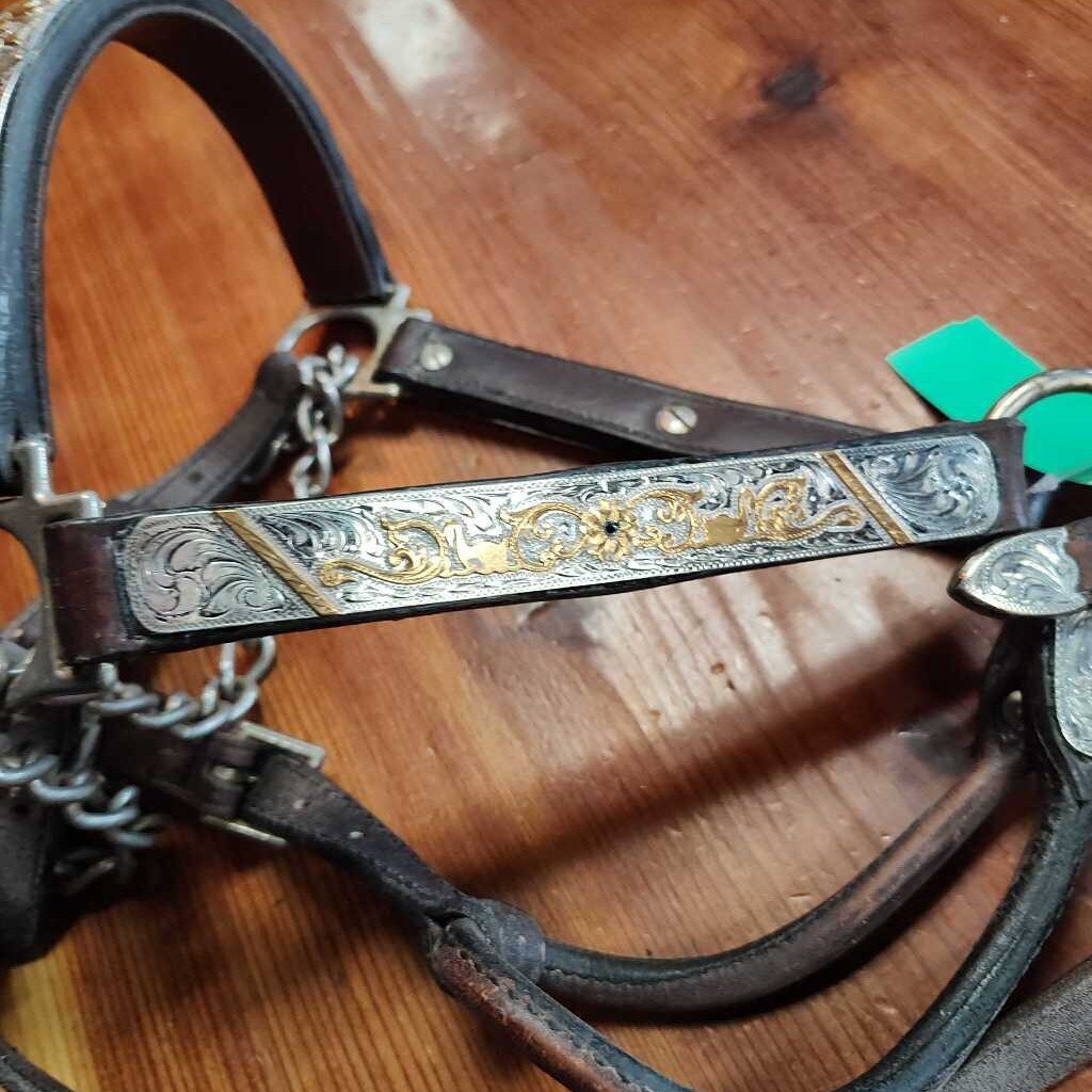 Beautiful Show halter