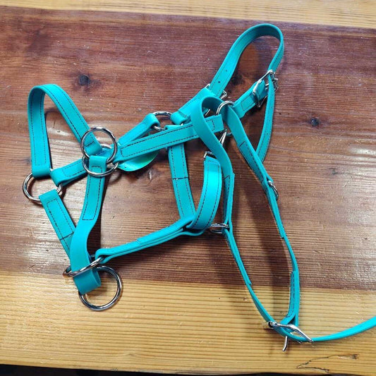 Biothane pack halter with attachment