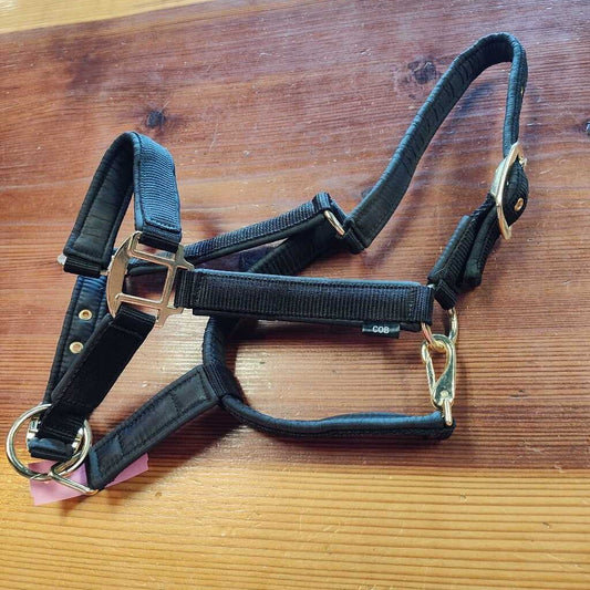 Padded nylon