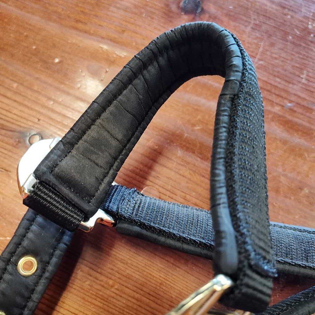 Padded nylon
