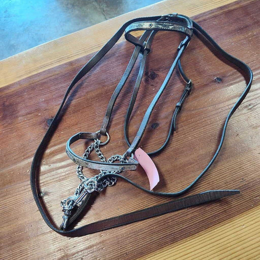 Areb/ Welsh show bridle
