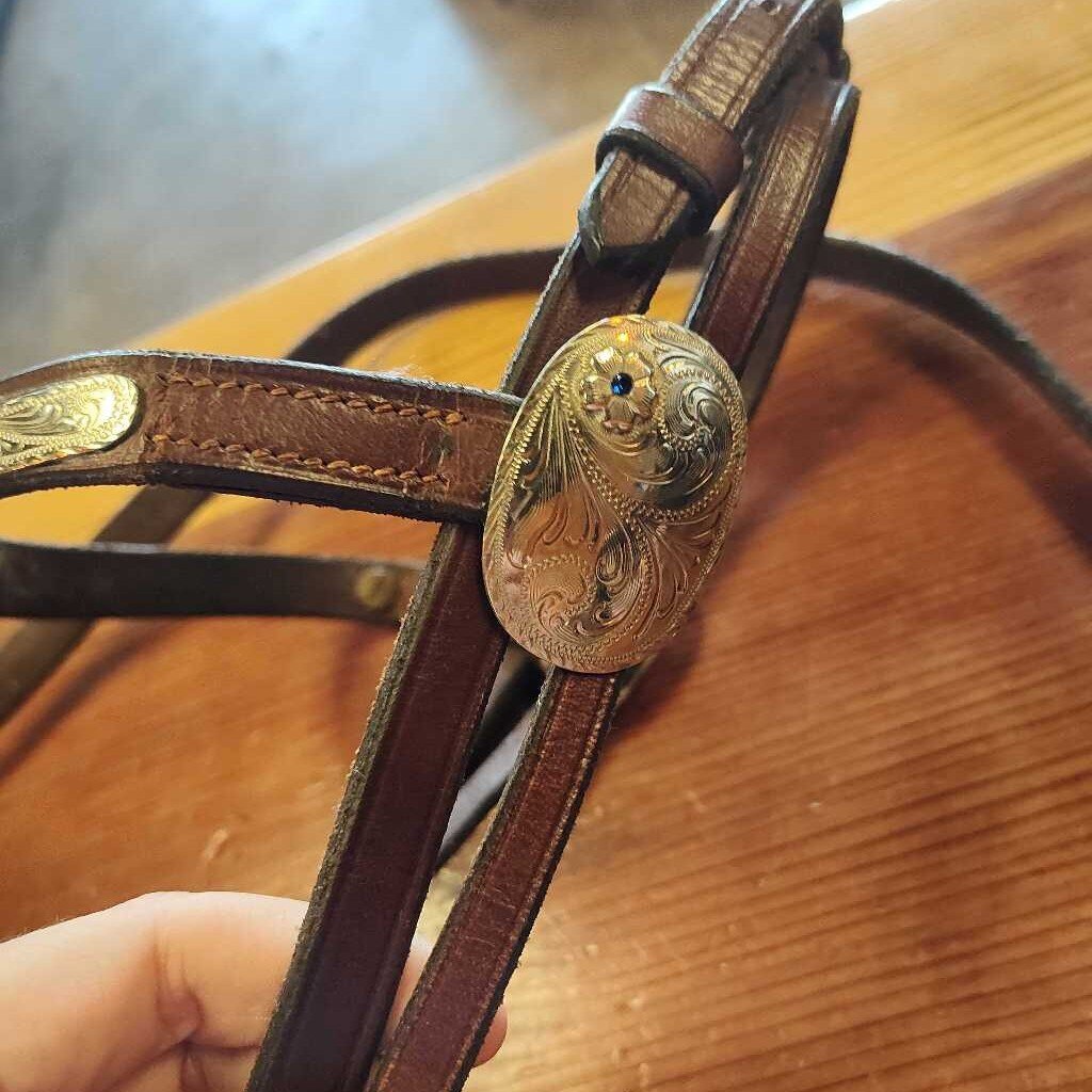 Areb/ Welsh show bridle