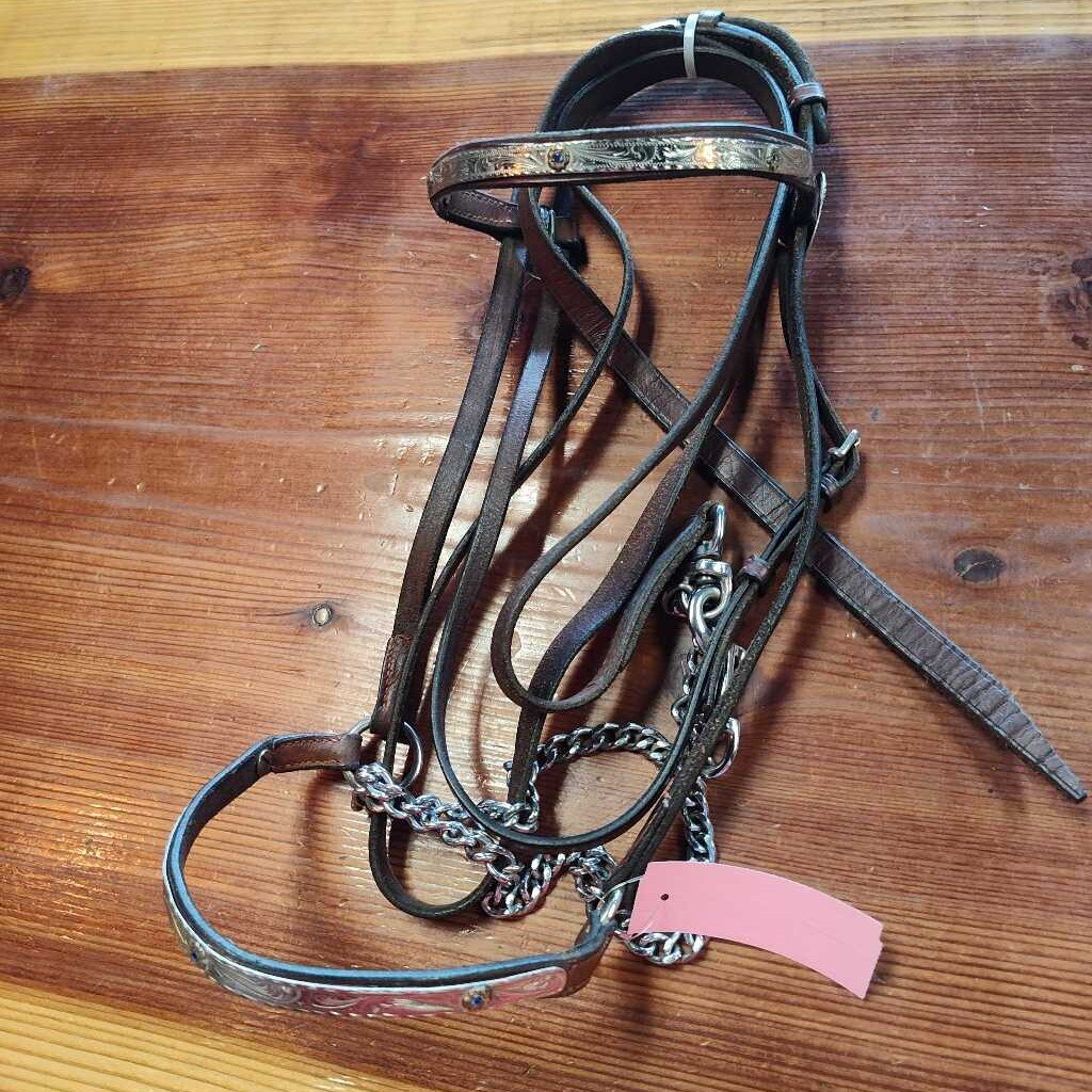 Areb/ Welsh show bridle