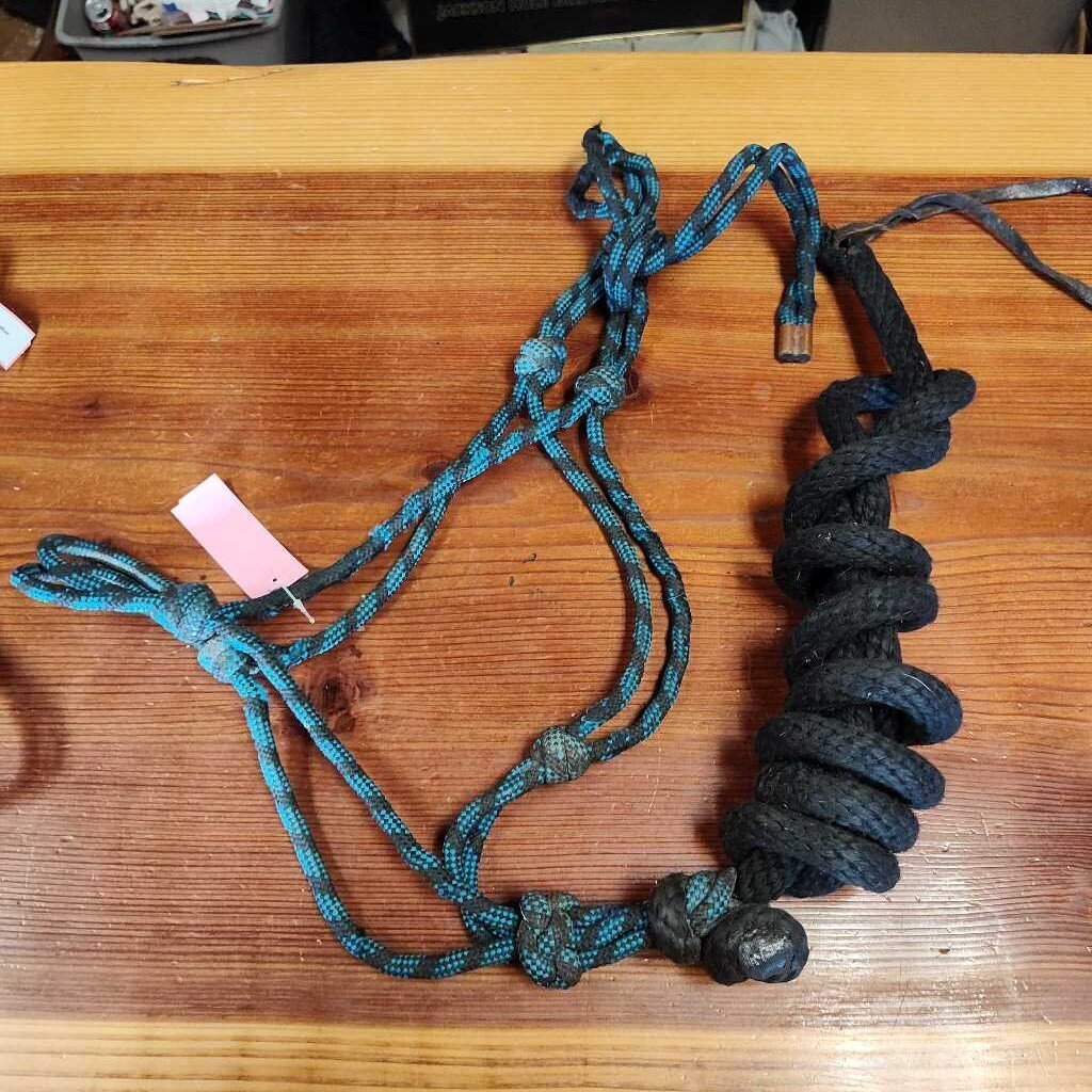 rope halter with lead