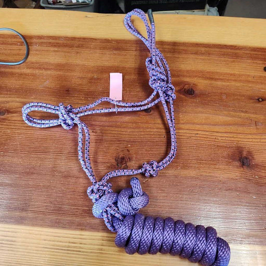rope halter with lead