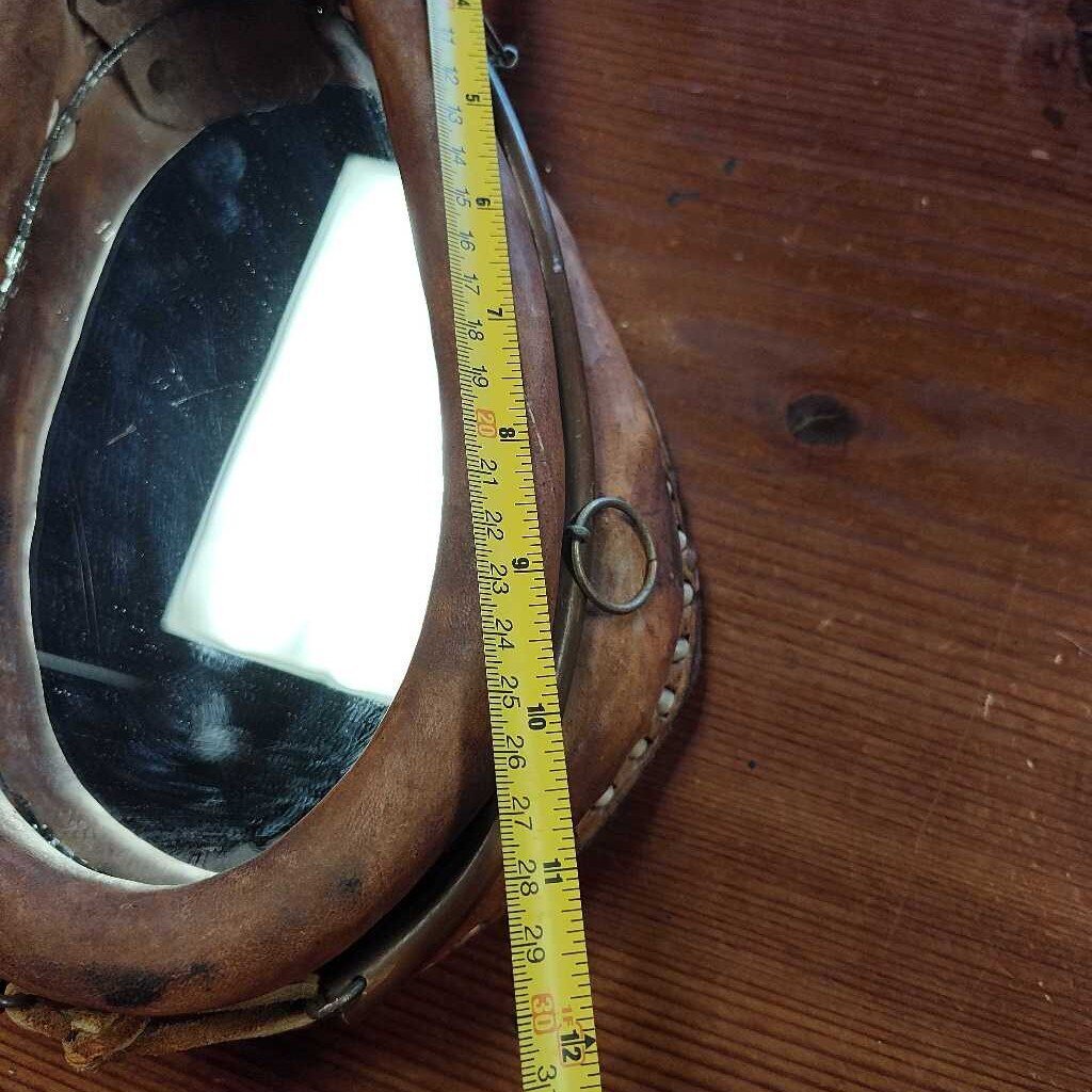 Harness with mirror