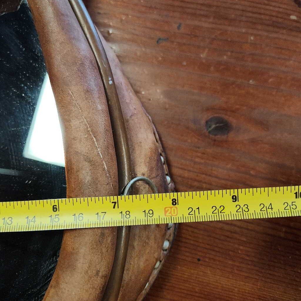 Harness with mirror