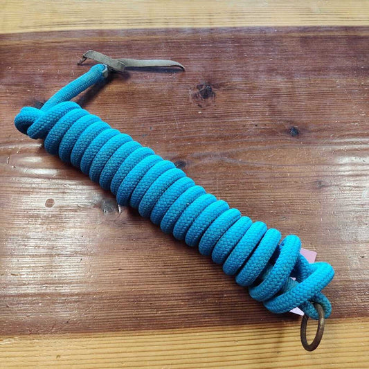 Training lead