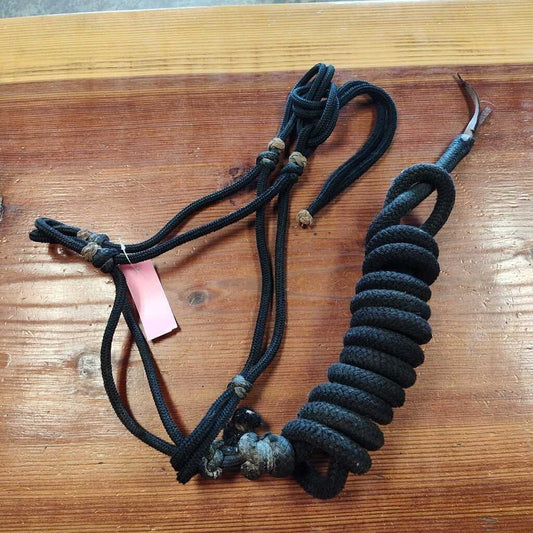 Rope halter and lead Leather detail