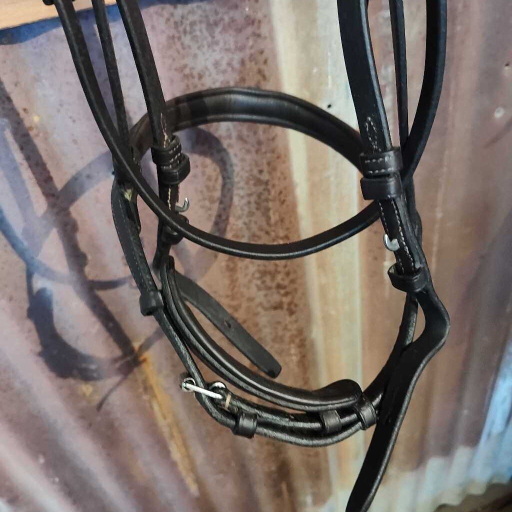 Padded raised fancy stitch