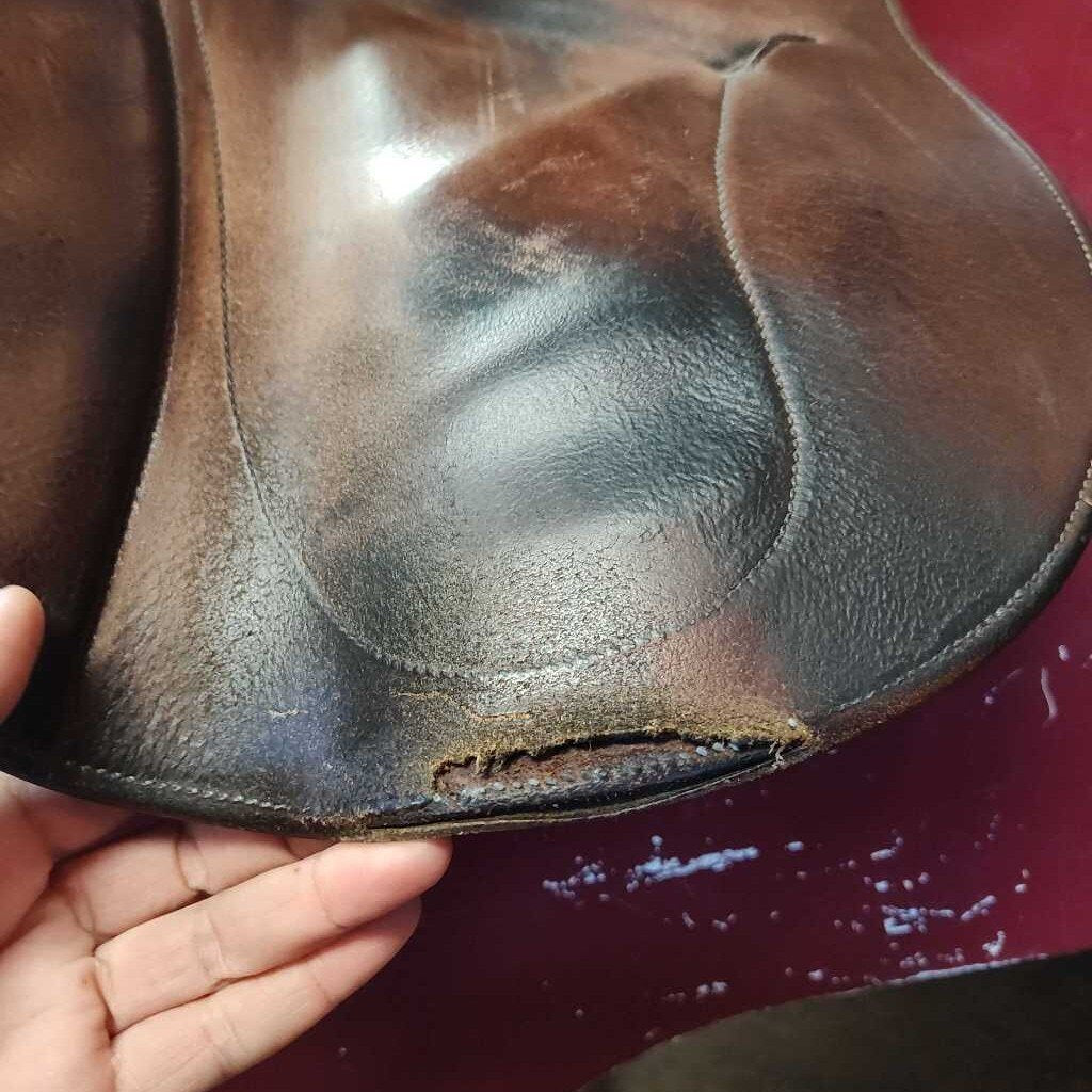 Hunter jumper saddle