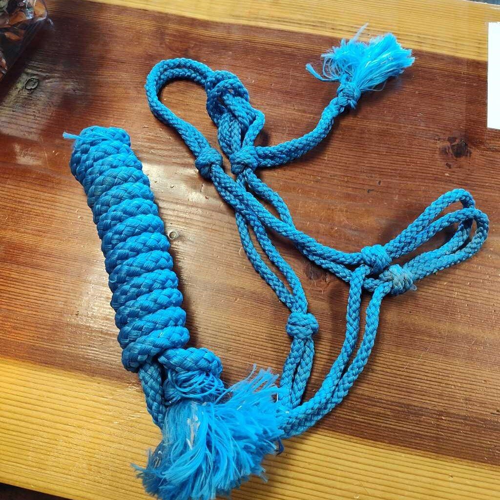 soft rope halter and lead