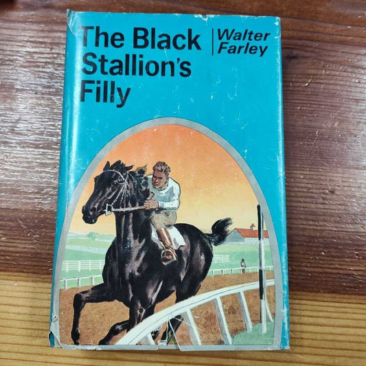 The Black Stallions FIlly