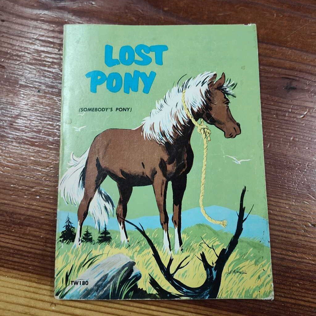 Lost Pony