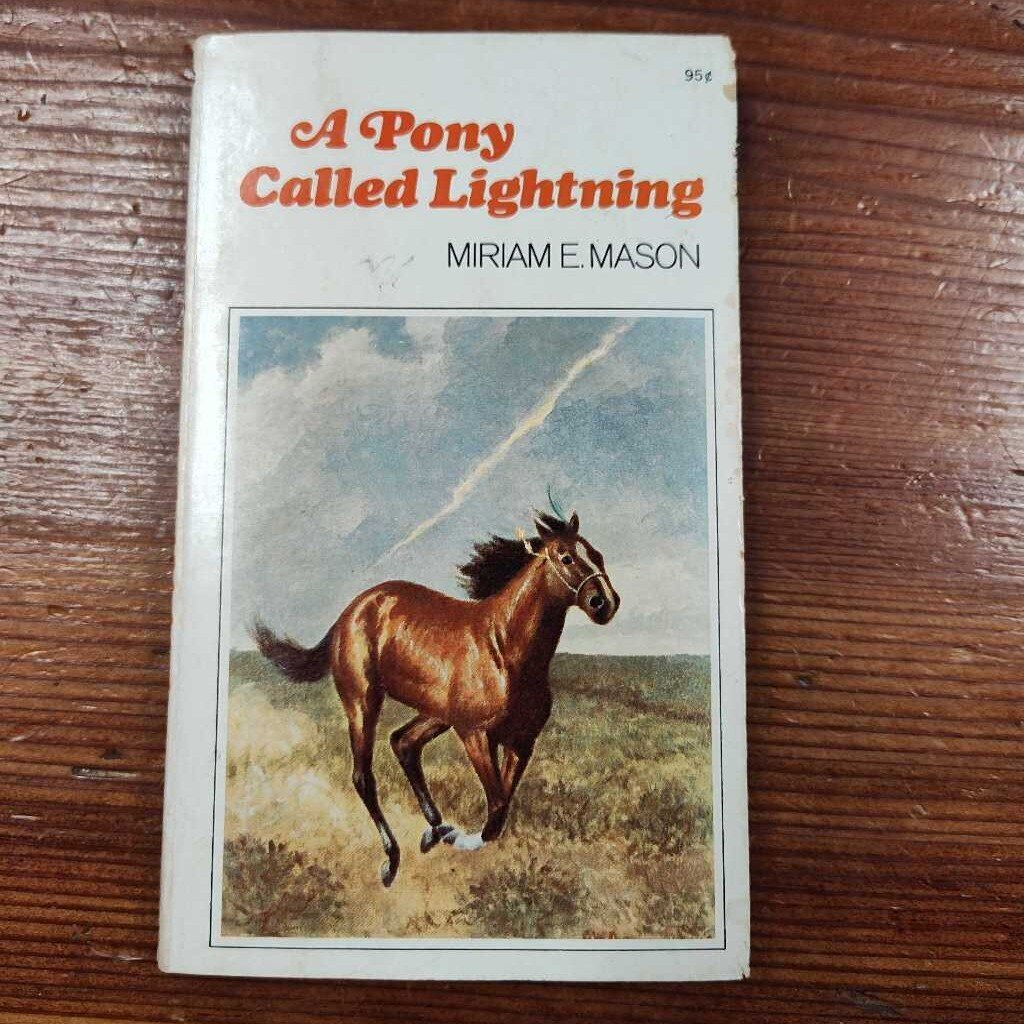 A pony called lightning
