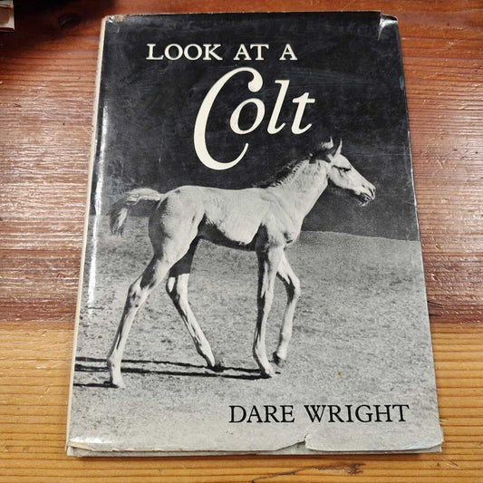 Look at a colt