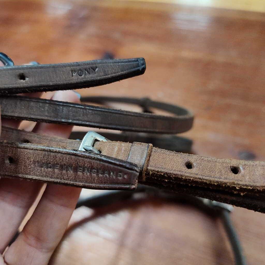 Raised bridle