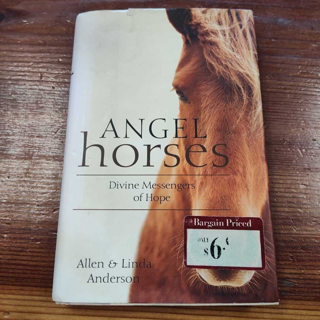 Angel horses