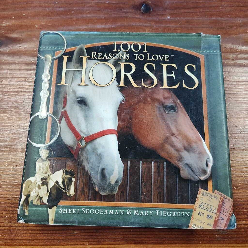 1001 reasons to horses