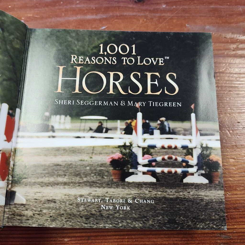 1001 reasons to horses