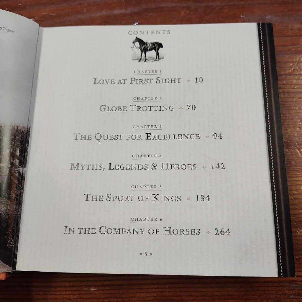 1001 reasons to horses