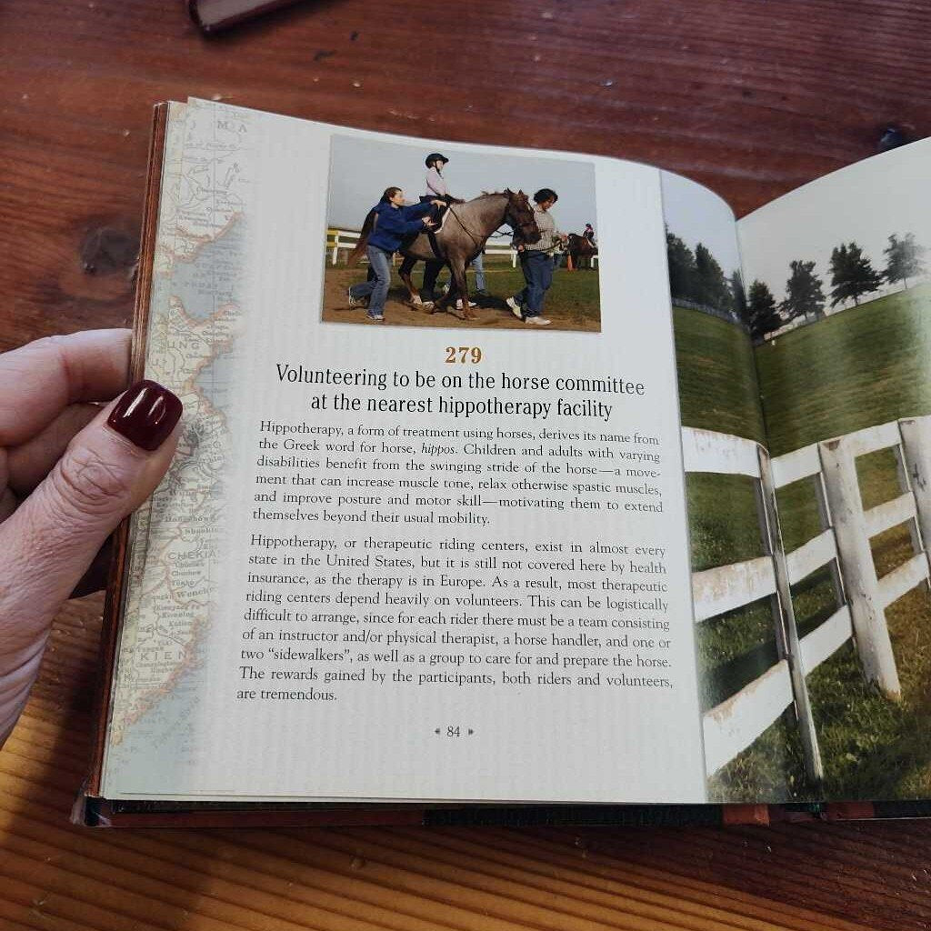 1001 reasons to horses