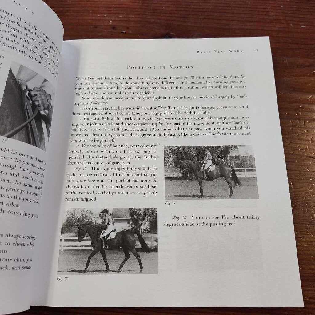 Anne Kursinskis riding & jumping clinic