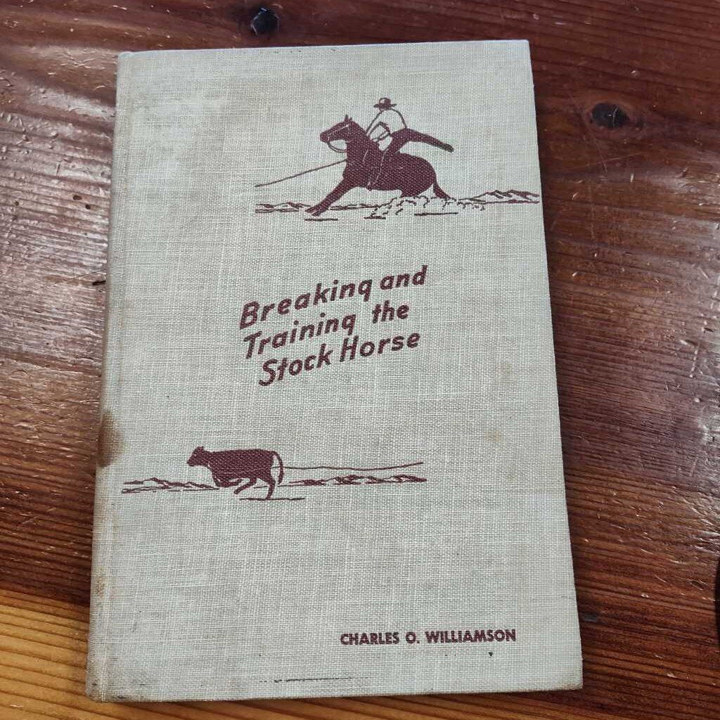 Breaking and trainning the stock horse