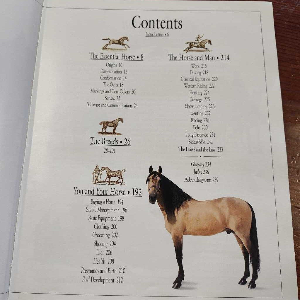 The Ultimate Horse Book