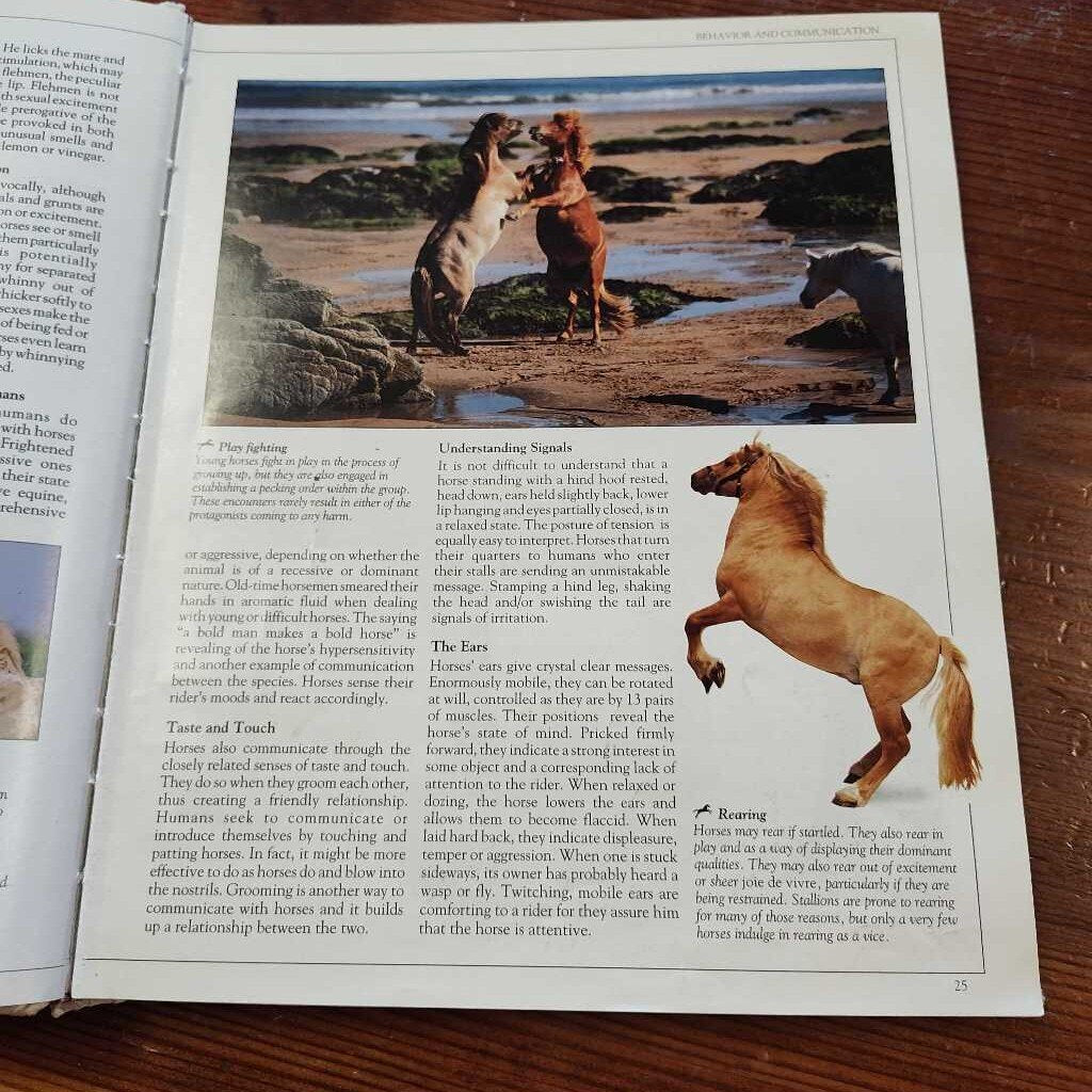 The Ultimate Horse Book