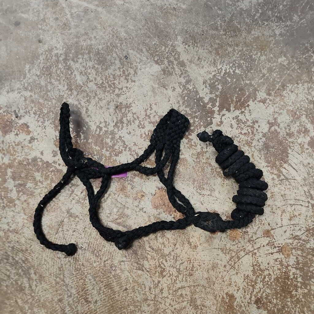 Mule tape halter and lead