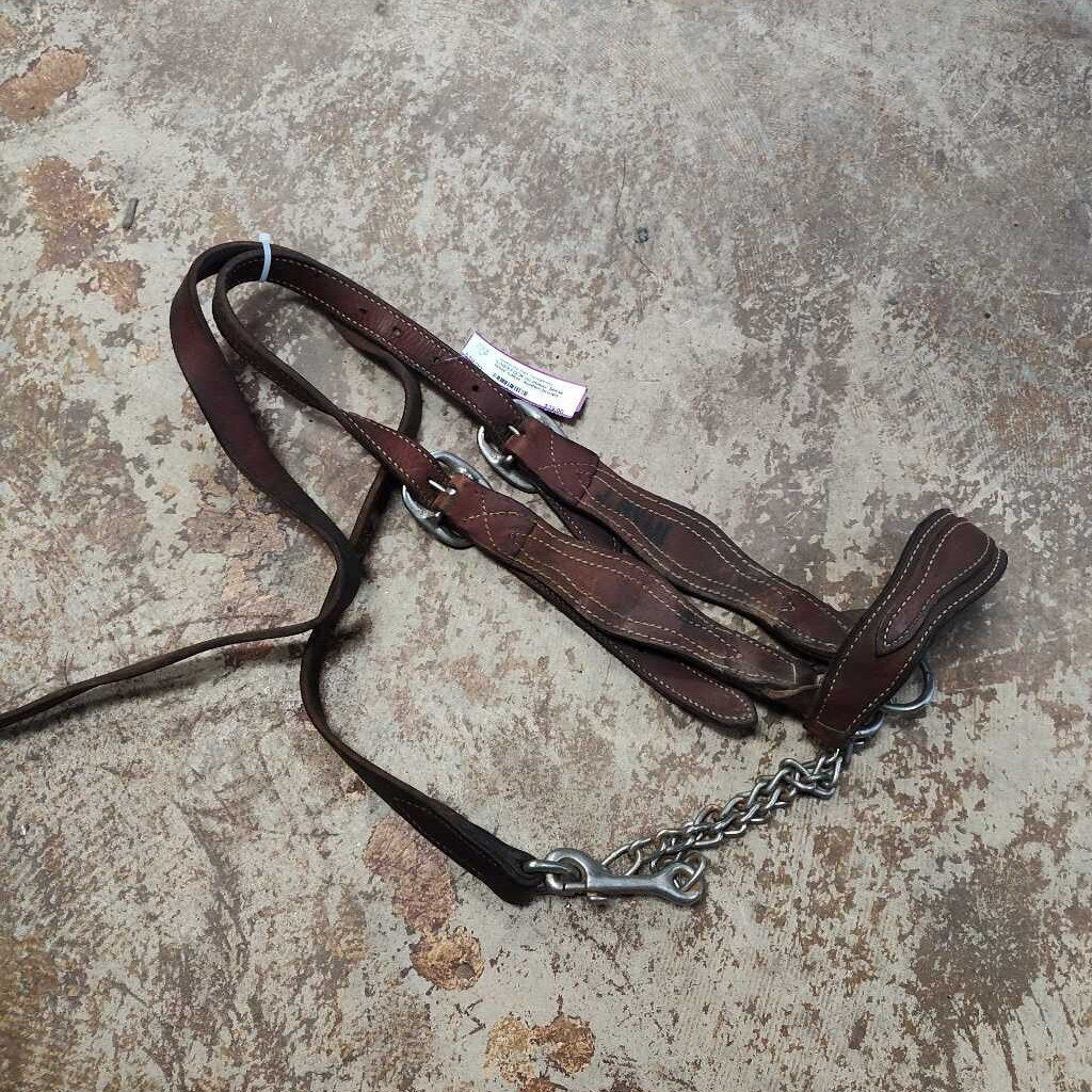 Show steer halter- leather