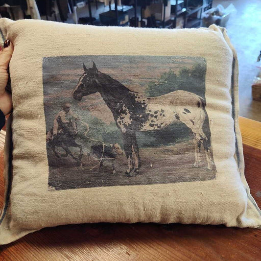 Small pillow- appy horse
