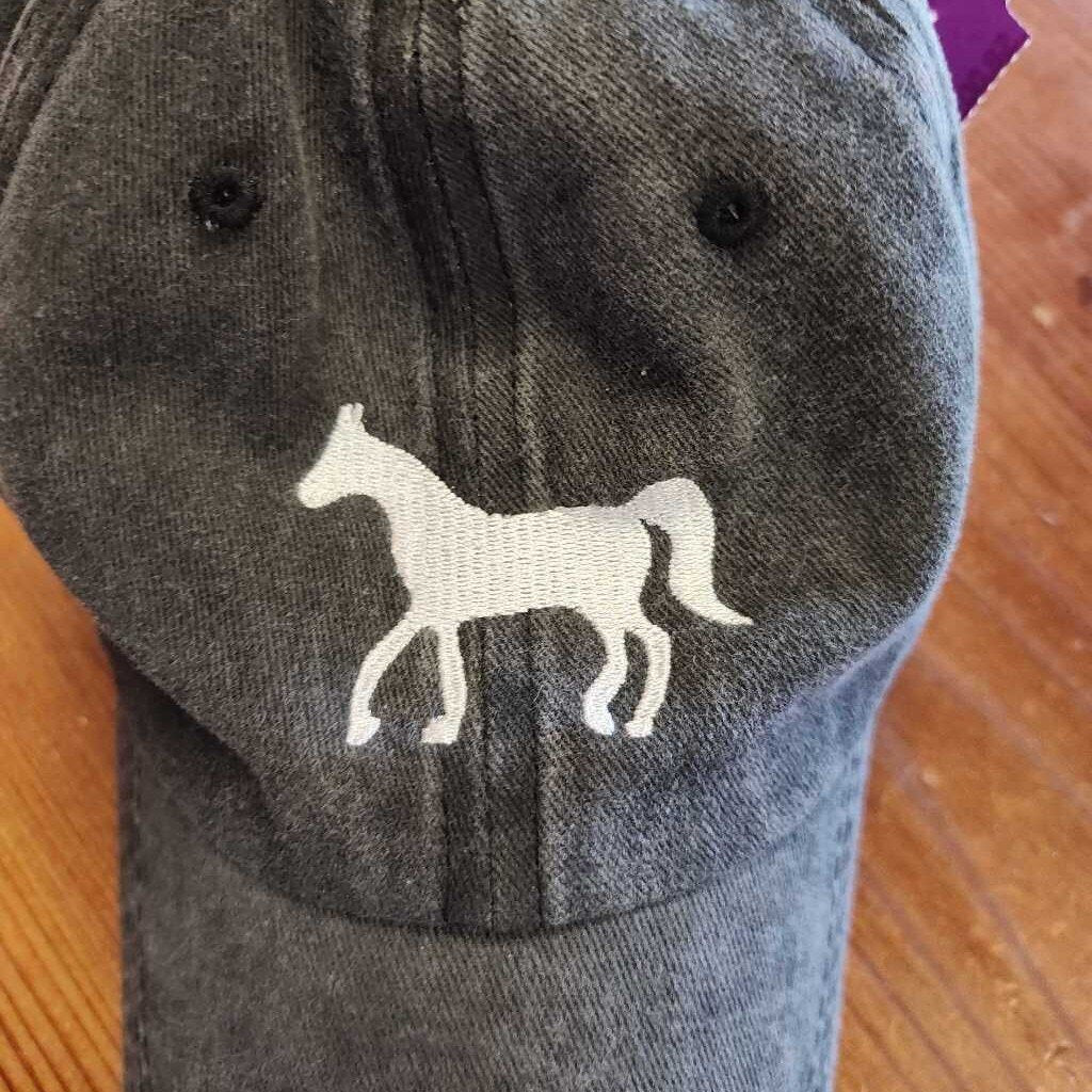 baseball hat- used