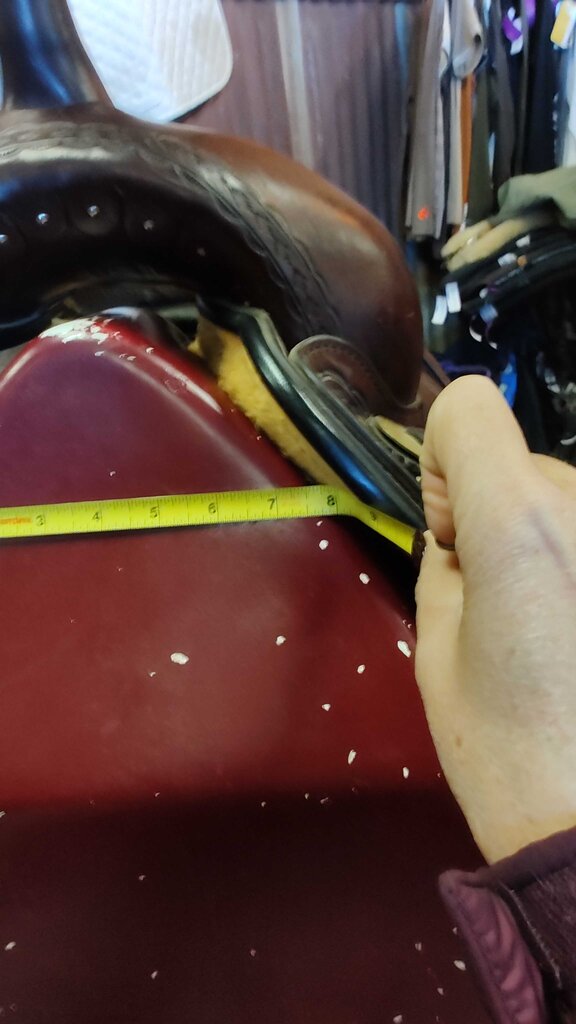 Great trail saddle