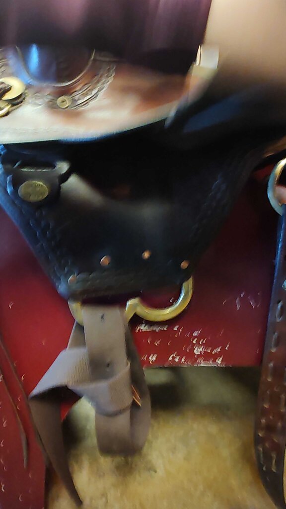 Great trail saddle