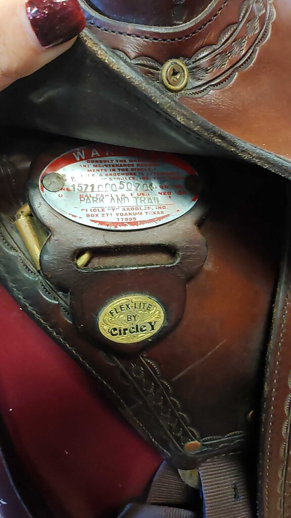 Great trail saddle