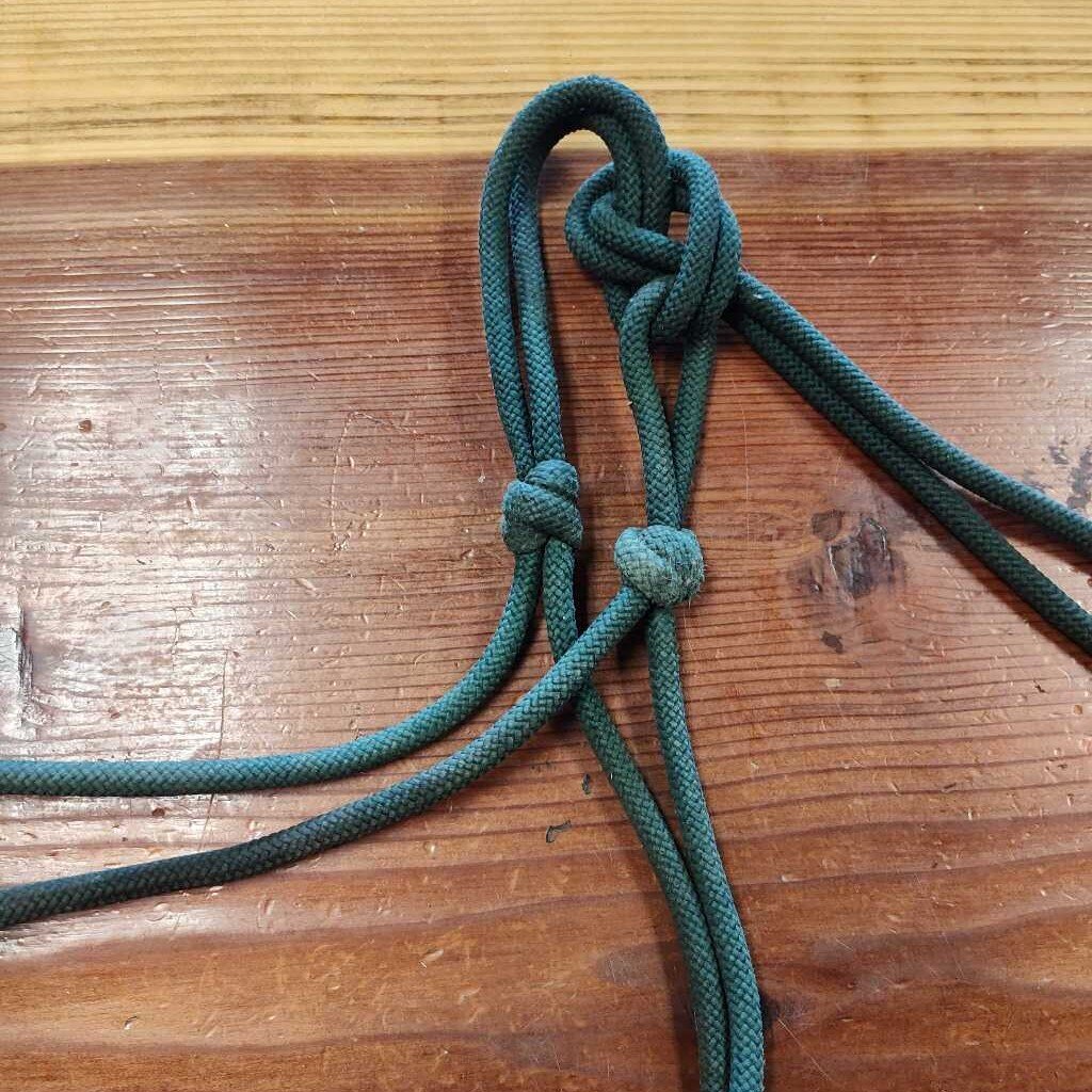 rope halter