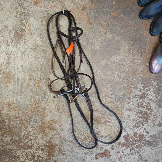 Set- bridle, reins, bit